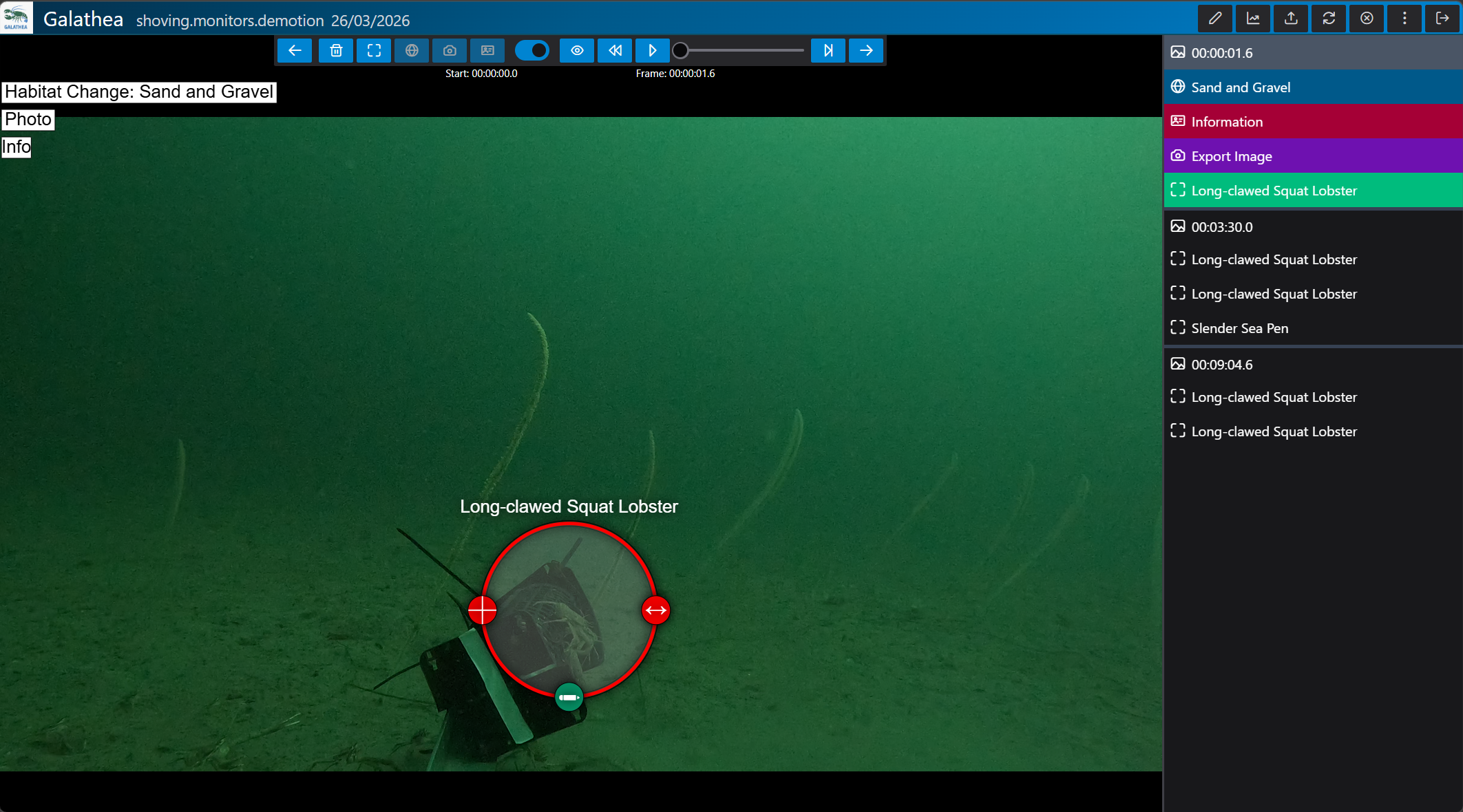 Galathea footage processing and species annotation